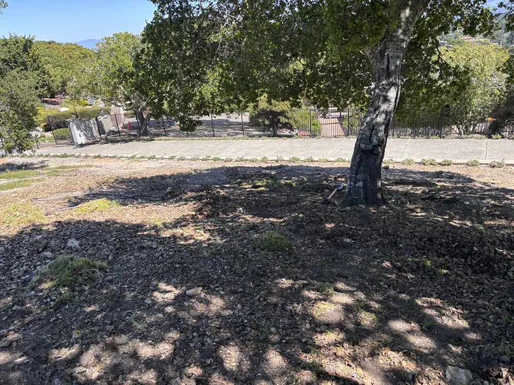 Affordable lawn mowing service for year-round maintenance across Marina, CA - Santos Landscaping & Hauling