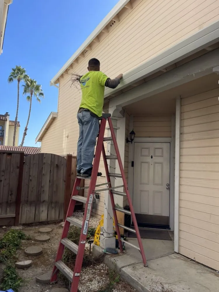 Reliable outdoor landscaping for outdoor upgrades in San Mateo, CA by Santos landscaping & Hauling