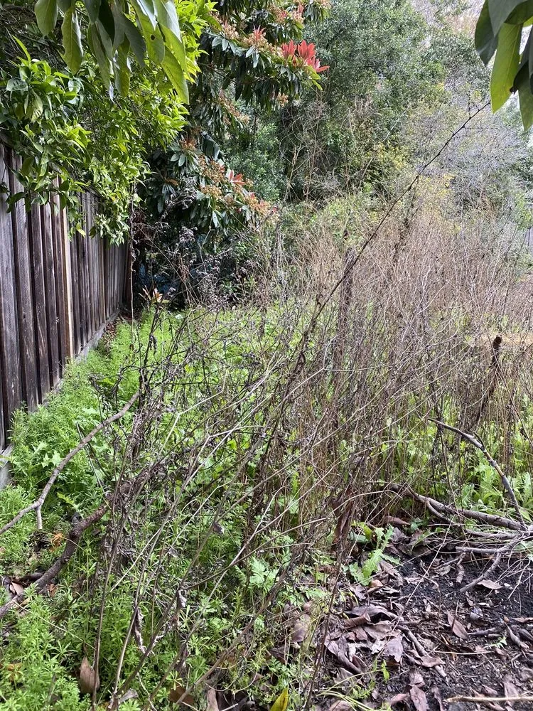 Custom garden landscaping in San Mateo, CA - Santos landscaping & Hauling