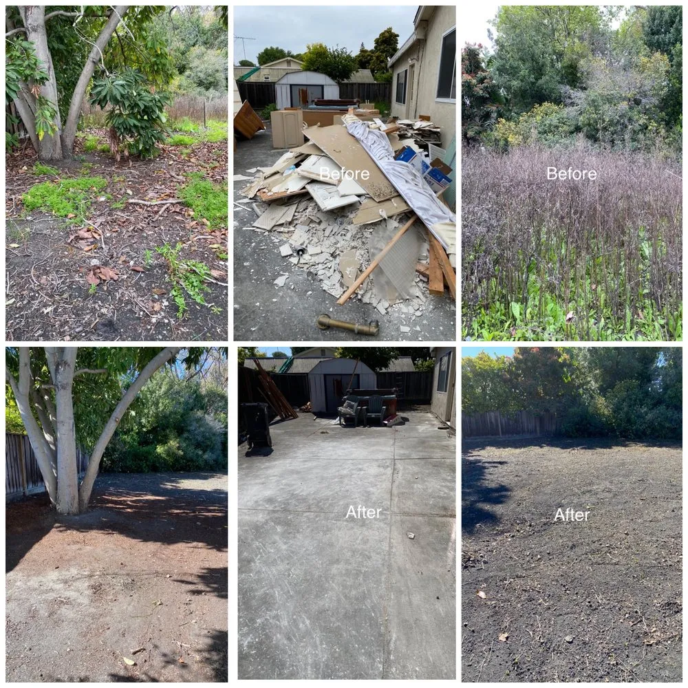 Trusted lawn care service in San Mateo, CA by Santos landscaping & Hauling