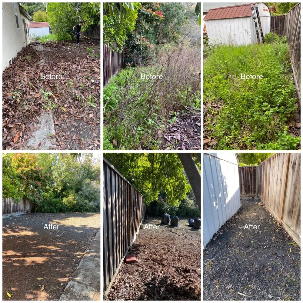 Local yard cleanup service in San Mateo, CA - Santos landscaping & Hauling