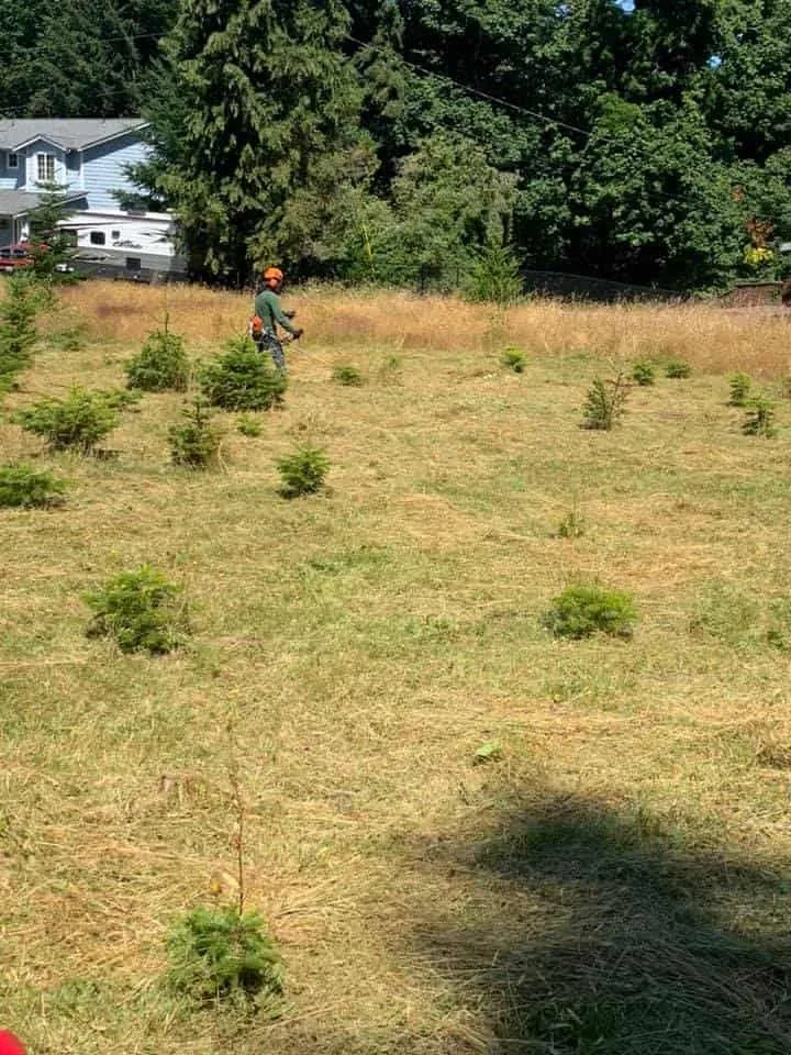 Custom residential landscaping for year-round maintenance in Bremerton, WA by Santos Landscaping & Maintenance