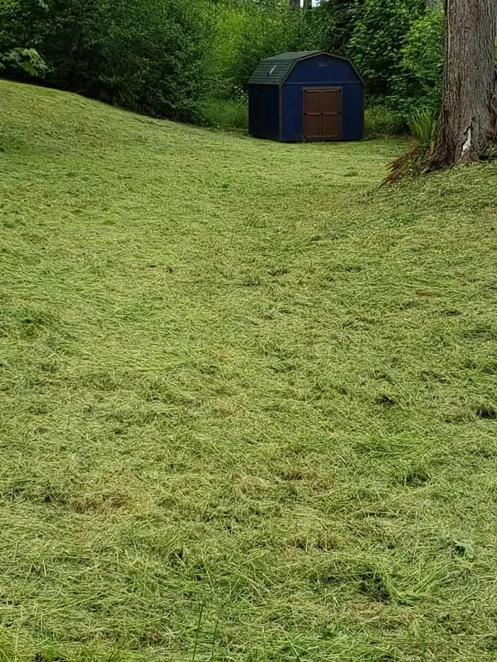 Reliable landscaping services for residential properties in Bremerton, WA by Santos Landscaping & Maintenance