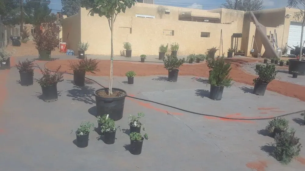 Custom yard cleanup service in Albuquerque, NM - Santos Landscaping & Maintenance Services