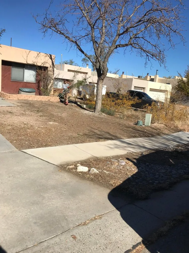 Local landscape design for outdoor upgrades across Albuquerque, NM - Santos Landscaping & Maintenance Services