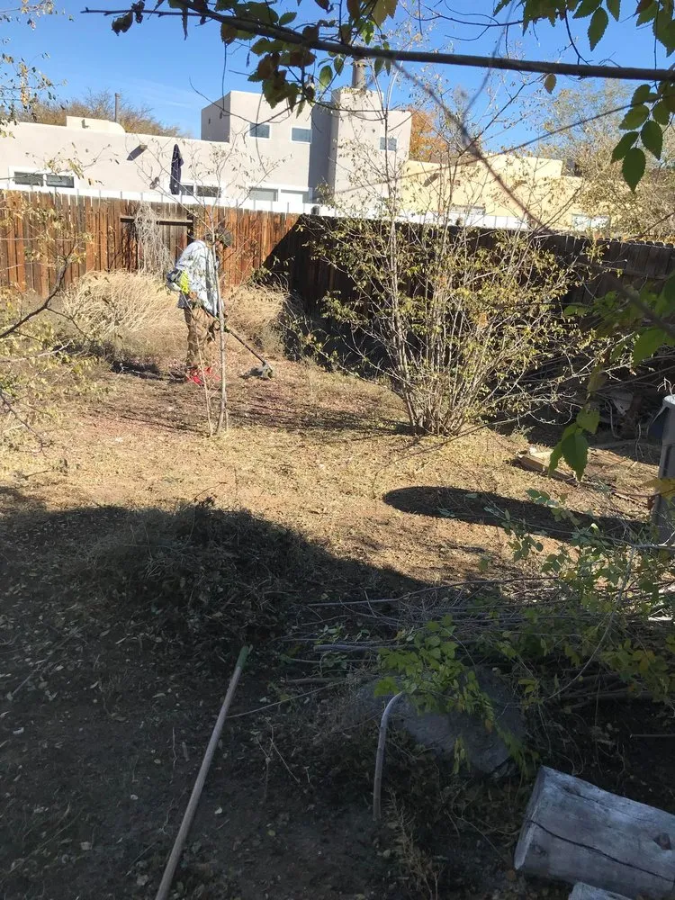 Local yard cleanup service in Albuquerque, NM - Santos Landscaping & Maintenance Services