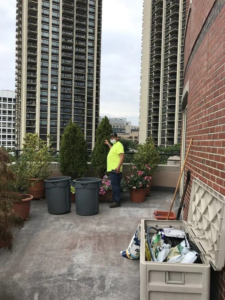 Affordable landscape design in Boston, MA - Santos Landscaping