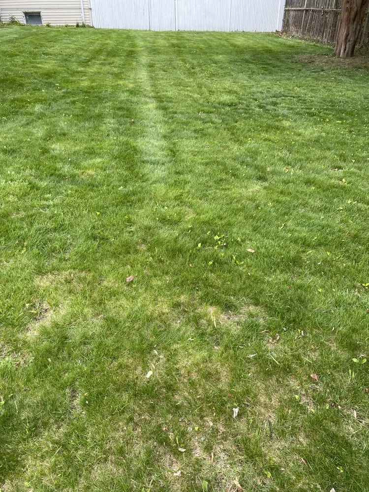 Custom lawn care service with custom design in Boston, MA by Santos Landscaping