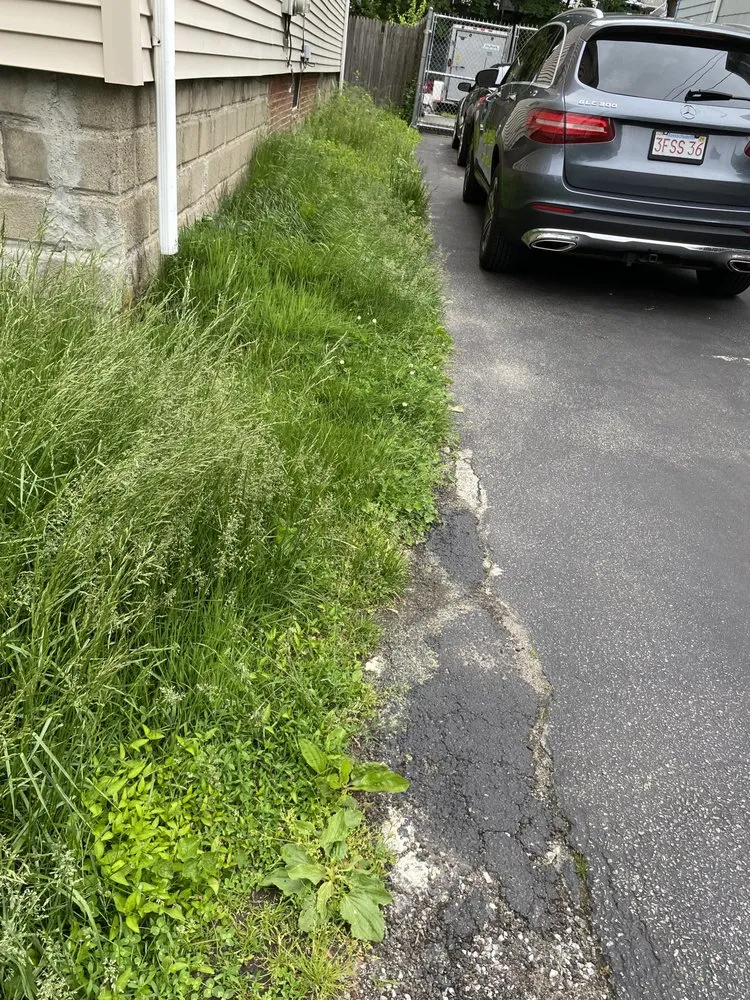 Top-rated garden landscaping in Boston, MA - Santos Landscaping