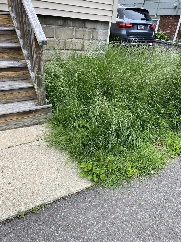 Trusted landscape installation for beautiful yards in Boston, MA by Santos Landscaping
