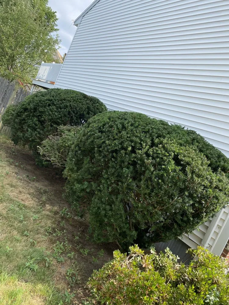 Expert landscaping services for beautiful yards in Boston, MA by Santos Landscaping