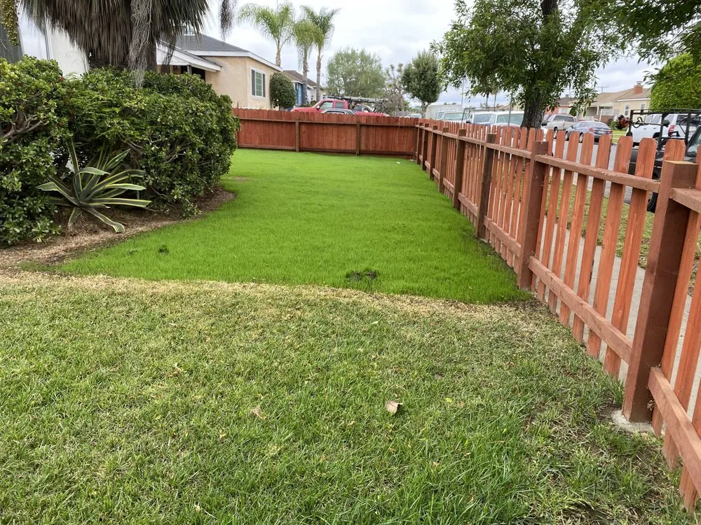 Top-rated landscaping services with custom design in Los Angeles, CA by Santos Landscaping