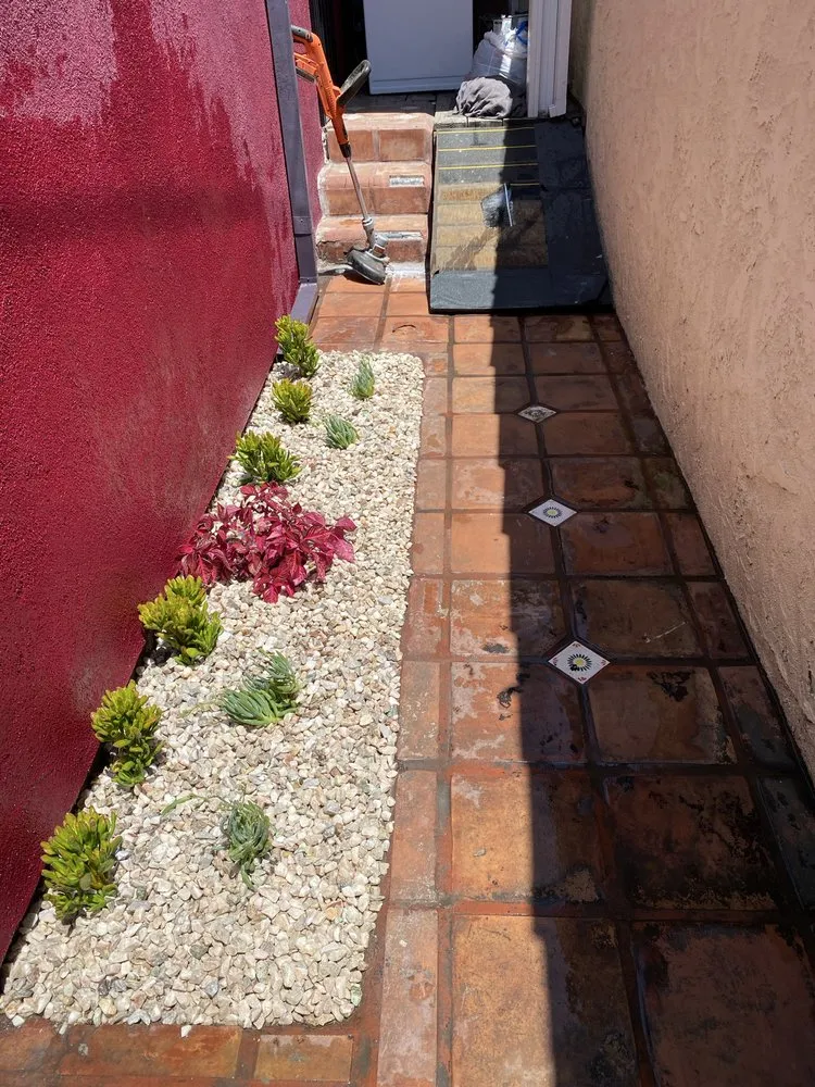 Expert landscape design in Los Angeles, CA - Santos Landscaping