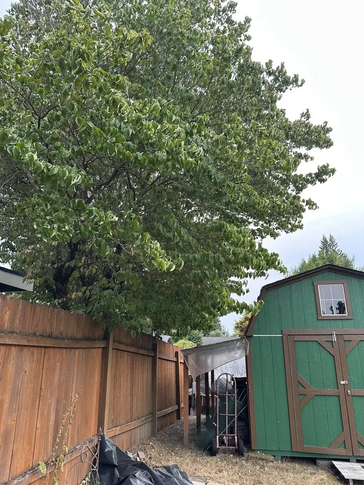 Professional outdoor landscaping in Bremerton, WA by Santos Landscaping NW