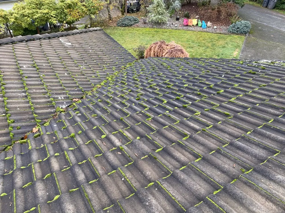 Local landscape installation experts serving Bremerton, WA - Santos Landscaping NW