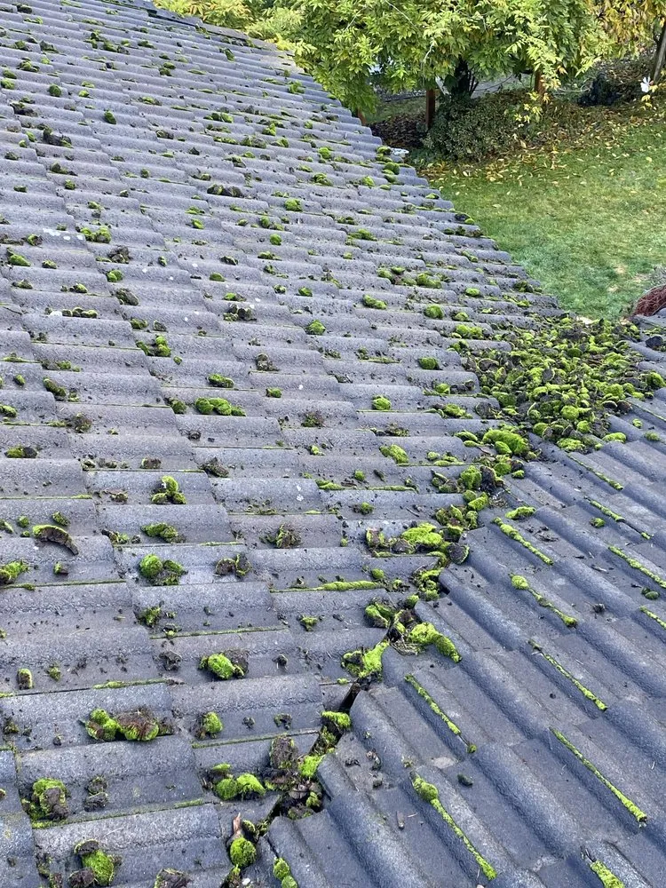 Top-rated lawn care service near you across Bremerton, WA - Santos Landscaping NW