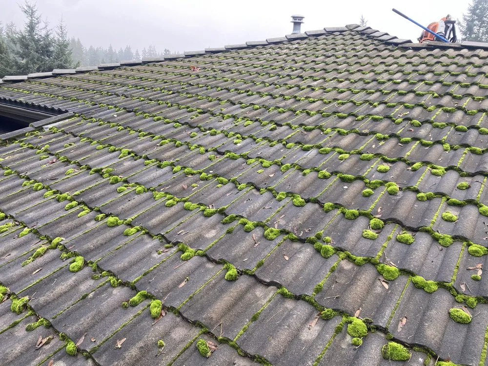 Top-rated lawn care service with custom design across Bremerton, WA - Santos Landscaping NW