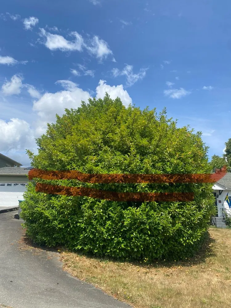 Custom residential landscaping experts serving Bremerton, WA - Santos Landscaping NW