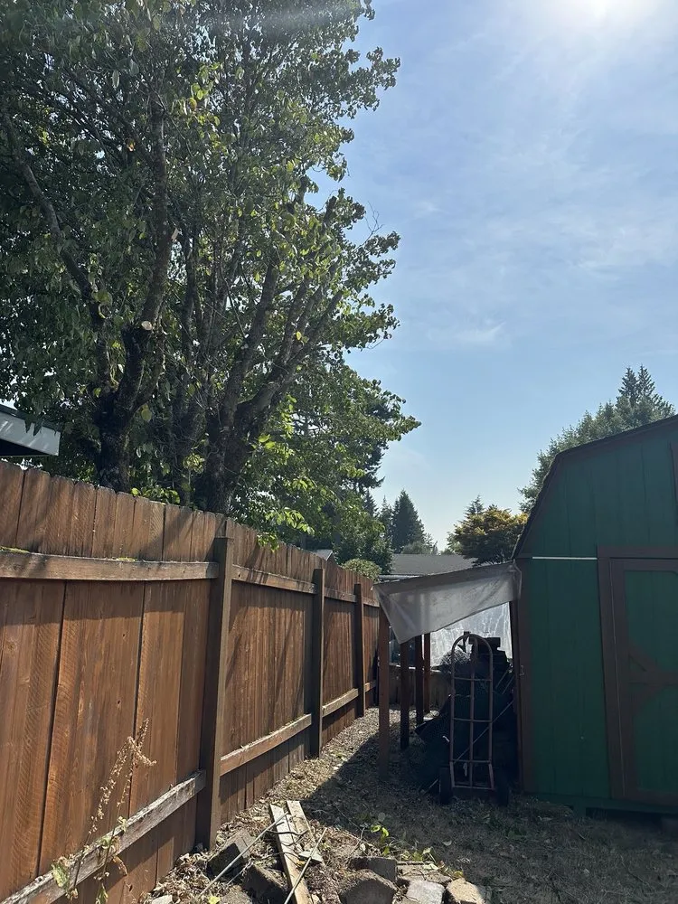 Top-rated landscape design in Bremerton, WA by Santos Landscaping NW