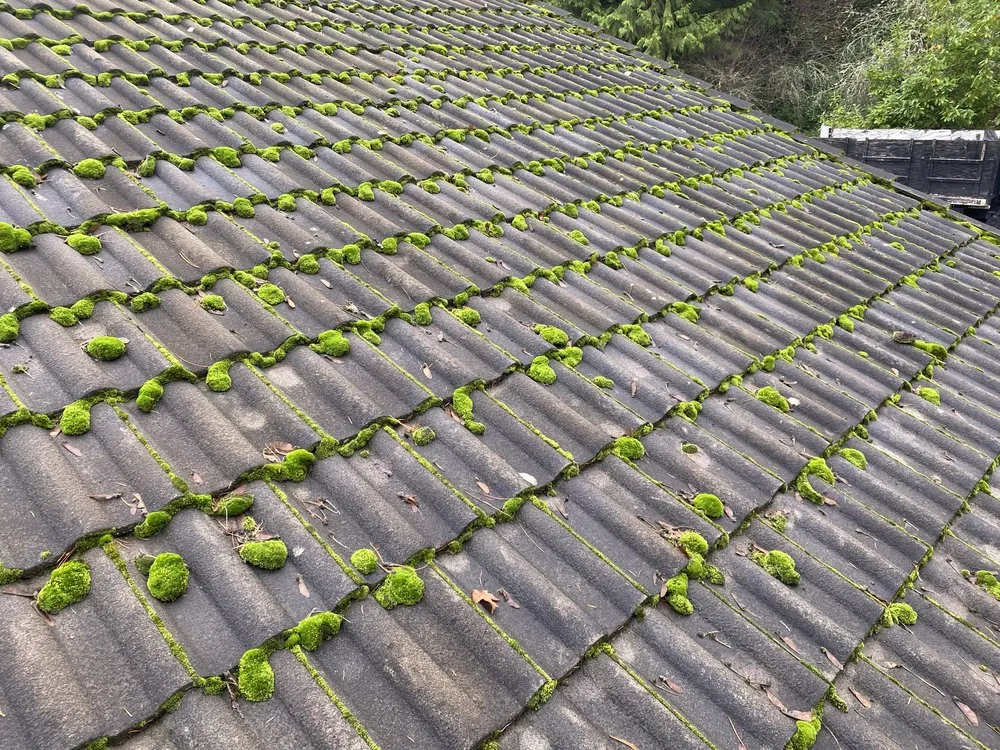 Trusted lawn care service for outdoor upgrades across Bremerton, WA - Santos Landscaping NW