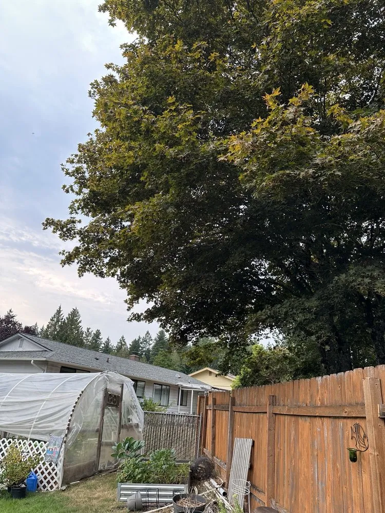 Professional landscape design for beautiful yards across Bremerton, WA - Santos Landscaping NW