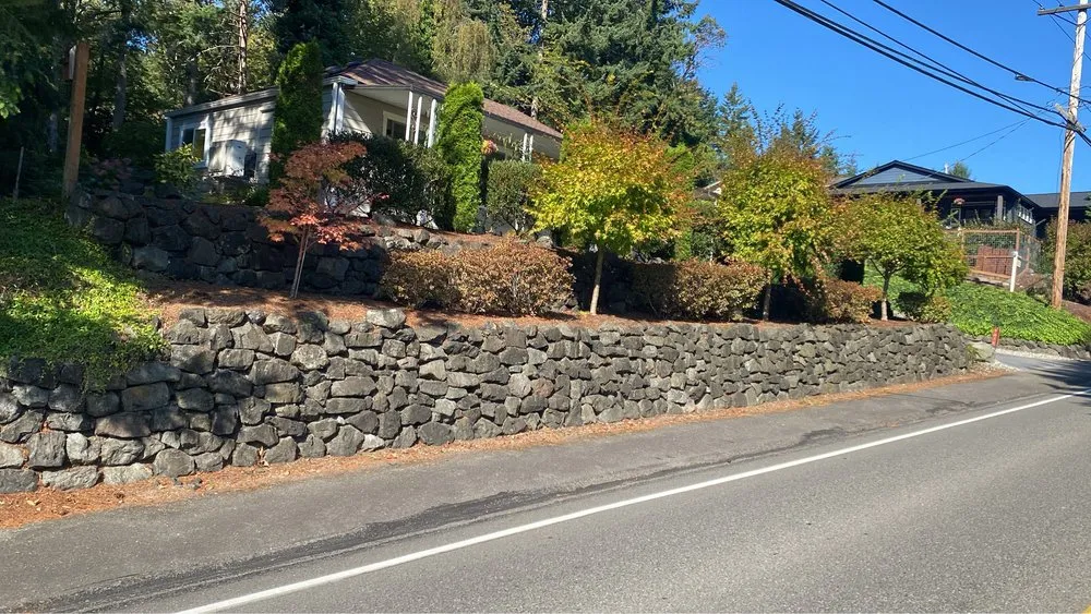 Reliable yard cleanup service in Bremerton, WA by Santos Landscaping NW