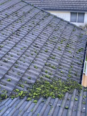 Santos Landscaping NW