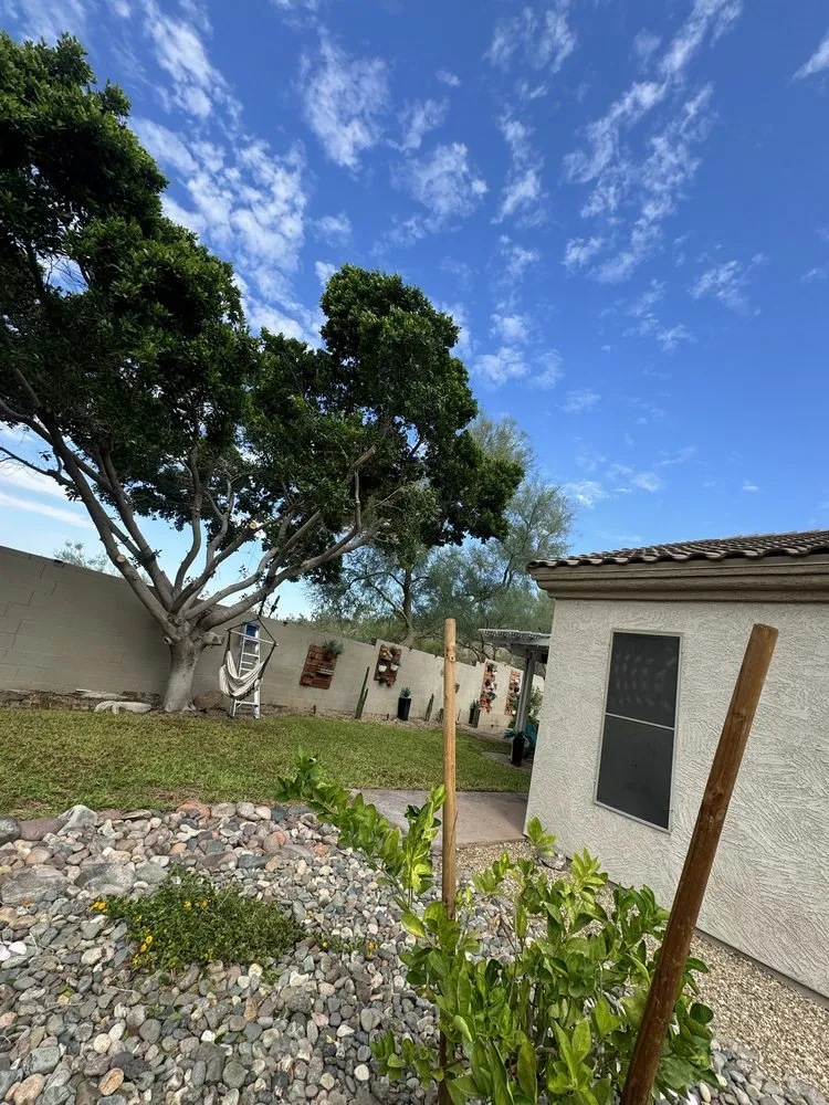 Top-rated landscape design for residential properties across Phoenix, AZ - Santos Landscaping