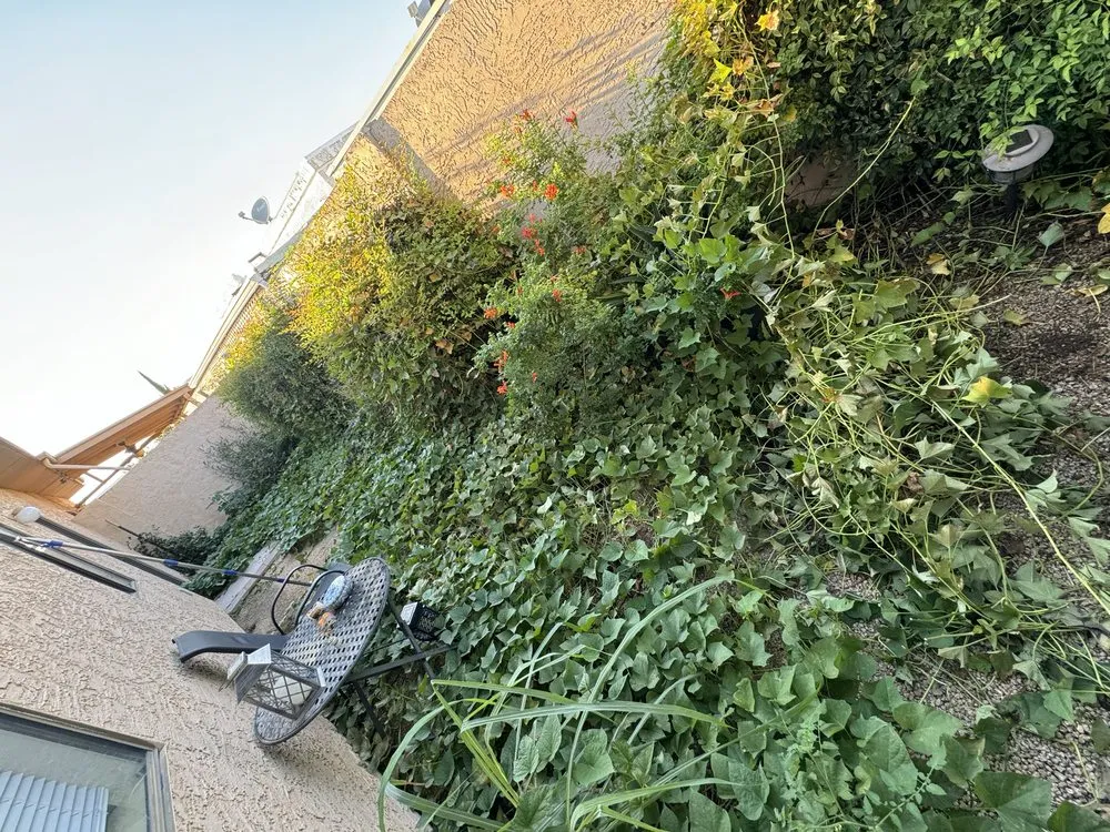 Top-rated landscape installation in Phoenix, AZ by Santos Landscaping