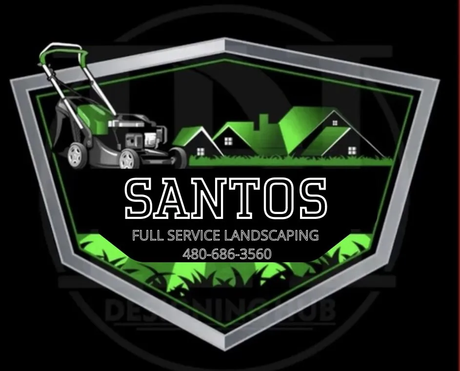 Custom yard cleanup service in Phoenix, AZ - Santos Landscaping