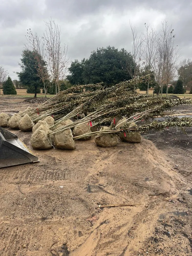 Custom landscaping services for residential properties in Augusta, AR by Santo’s Landscaping Service