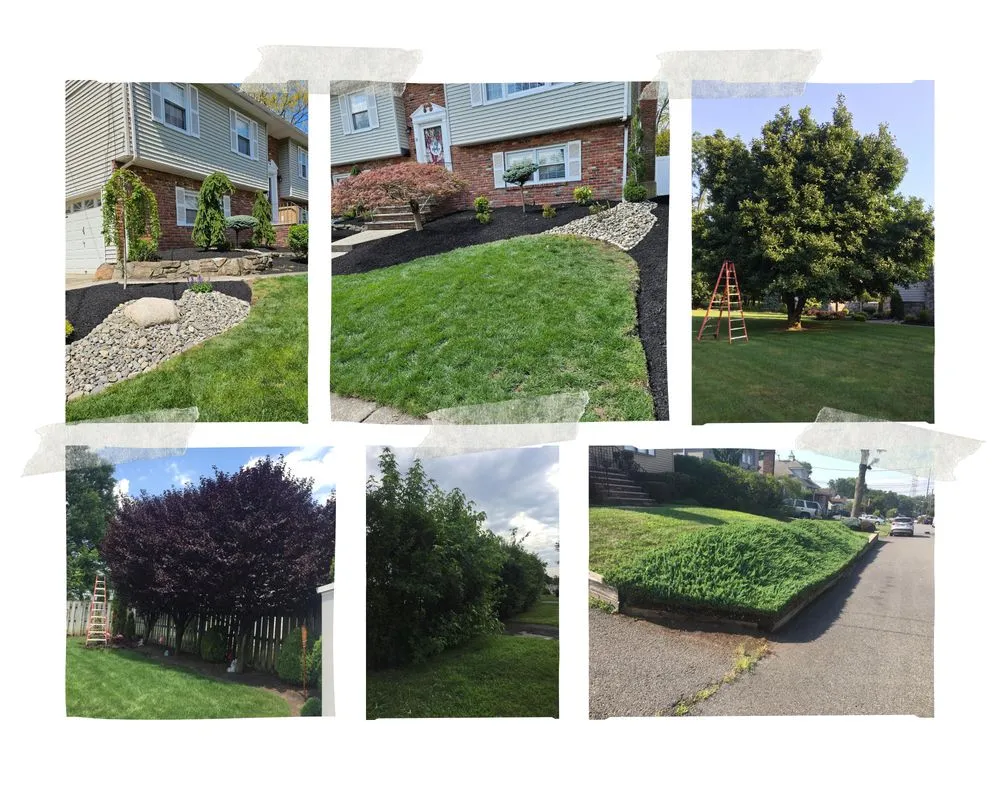 Reliable yard maintenance in Rahway, NJ - Santos Landscaping Services