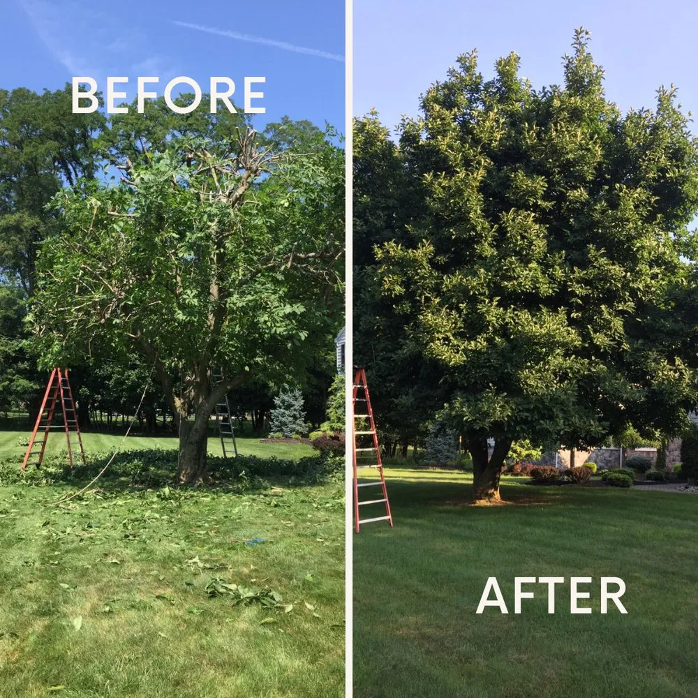 Custom landscape installation in Rahway, NJ by Santos Landscaping Services