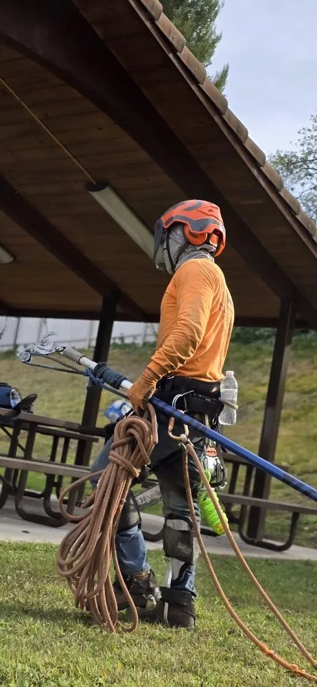 Affordable lawn care service in Riverside, CA by Santos Landscaping Services