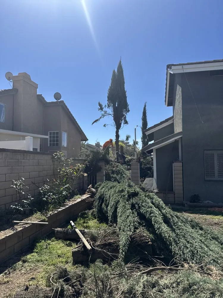 Local yard cleanup service in Riverside, CA by Santos Landscaping Services