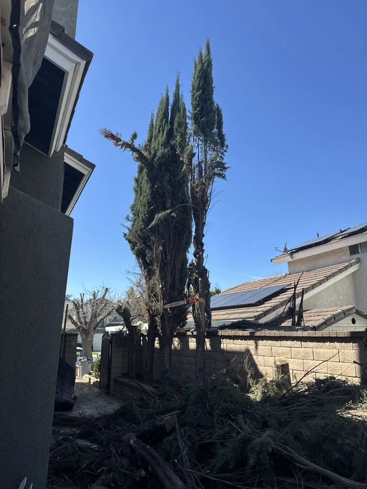 Custom landscaping services in Riverside, CA - Santos Landscaping Services