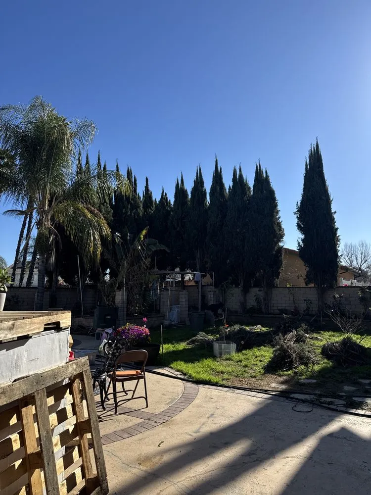 Top-rated outdoor landscaping in Riverside, CA - Santos Landscaping Services