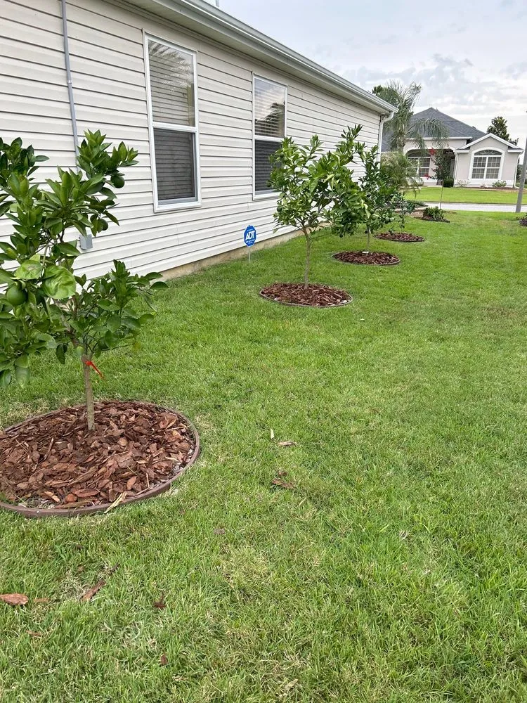 Expert landscape design for residential properties across The Villages, FL - Santos Landscaping