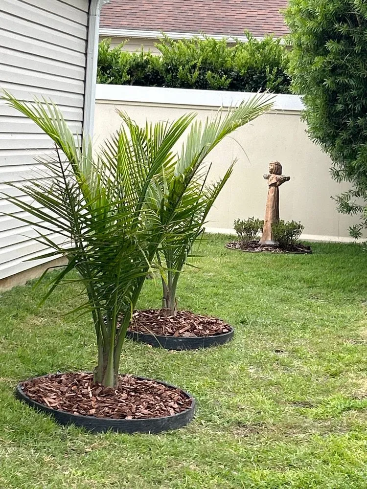 Reliable outdoor landscaping for year-round maintenance across The Villages, FL - Santos Landscaping