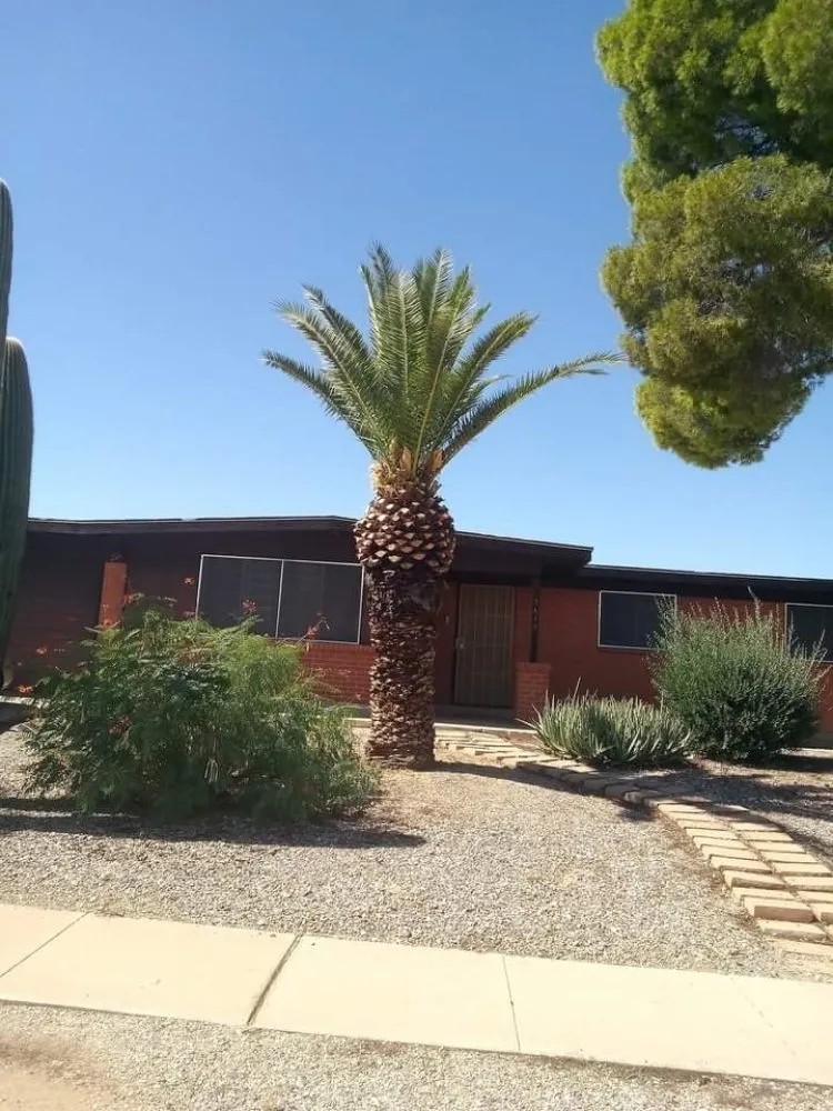 Top-rated residential landscaping in Tucson, AZ by Santos Landscaping