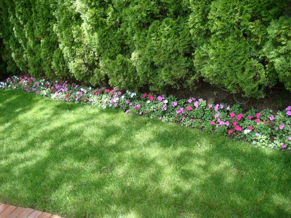 Professional yard maintenance near you across Westhampton Beach, NY - Santos Landscaping
