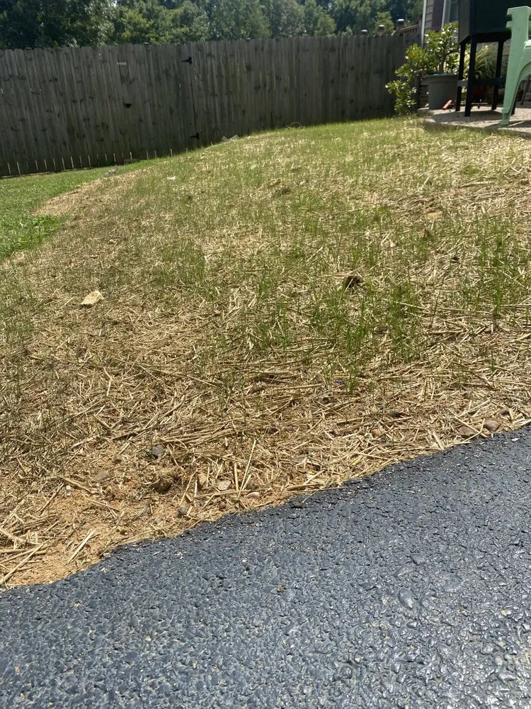 Affordable landscape design in Glasgow, KY by Santos Lawn & Landscape