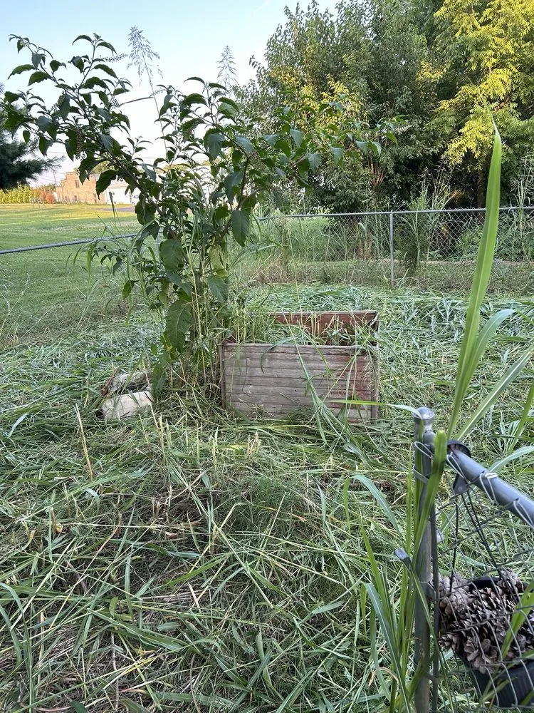 Affordable residential landscaping experts serving Glasgow, KY - Santos Lawn & Landscape