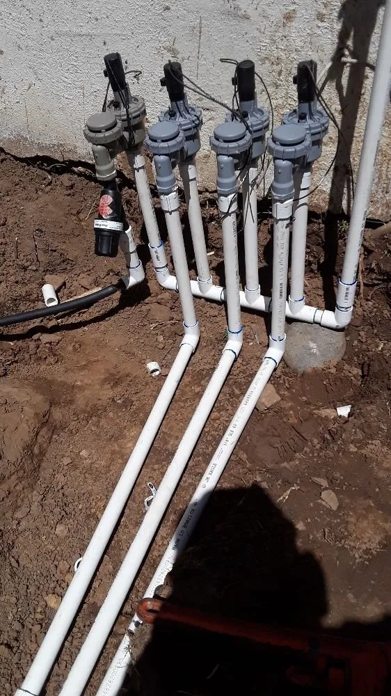 Custom lawn care service in Sacramento, CA by Santos Lawn Care