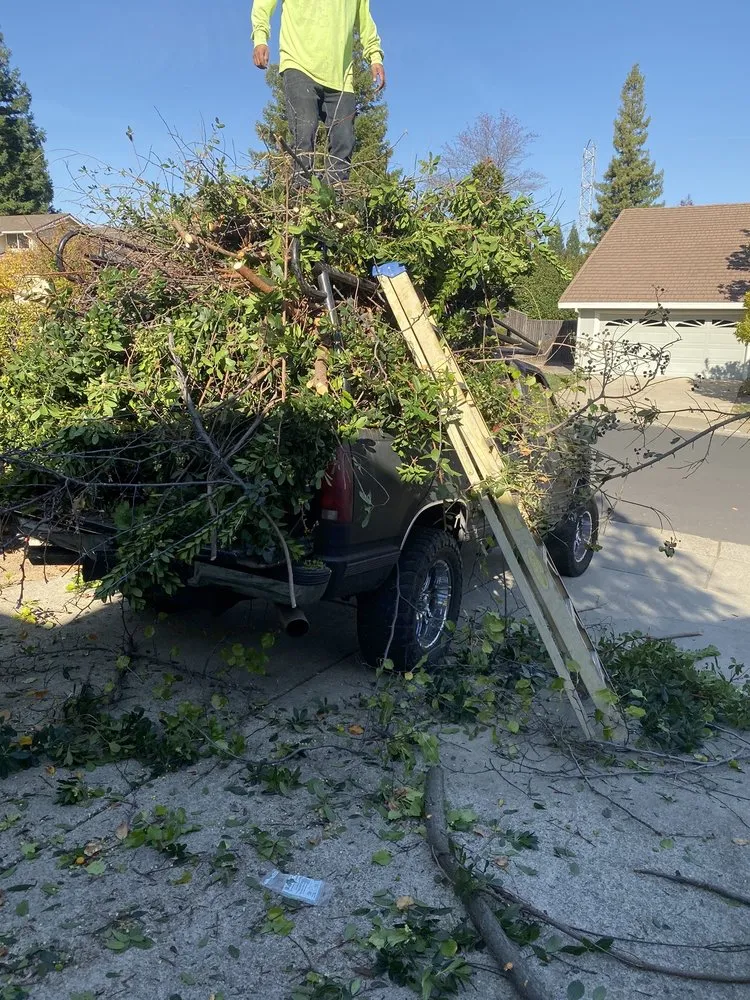 Top-rated landscape design experts serving Sacramento, CA - Santos Lawn Care