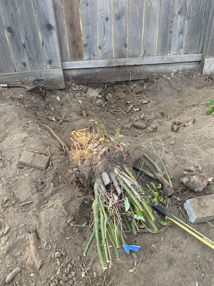 Local lawn mowing service experts serving Sacramento, CA - Santos Lawn Care