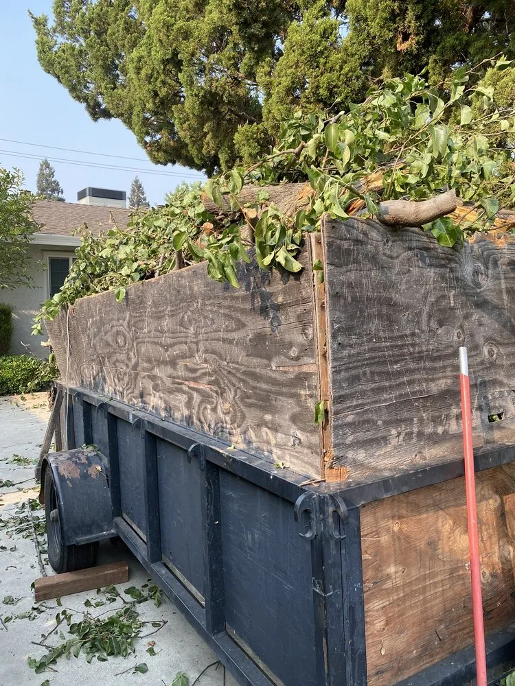 Local landscaping services for year-round maintenance across Sacramento, CA - Santos Lawn Care