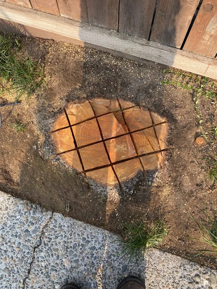 Reliable yard maintenance for outdoor upgrades across Sacramento, CA - Santos Lawn Care