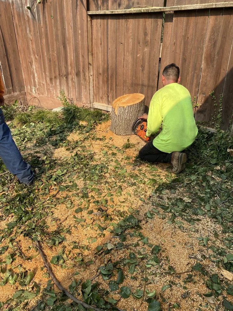 Local garden landscaping in Sacramento, CA - Santos Lawn Care