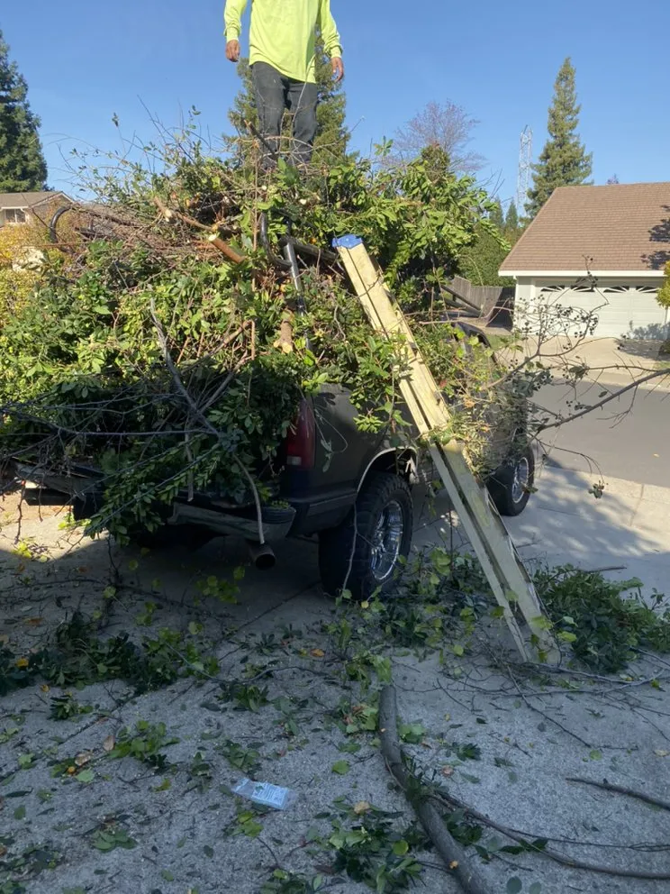 Top-rated lawn mowing service in Sacramento, CA - Santos Lawn Care